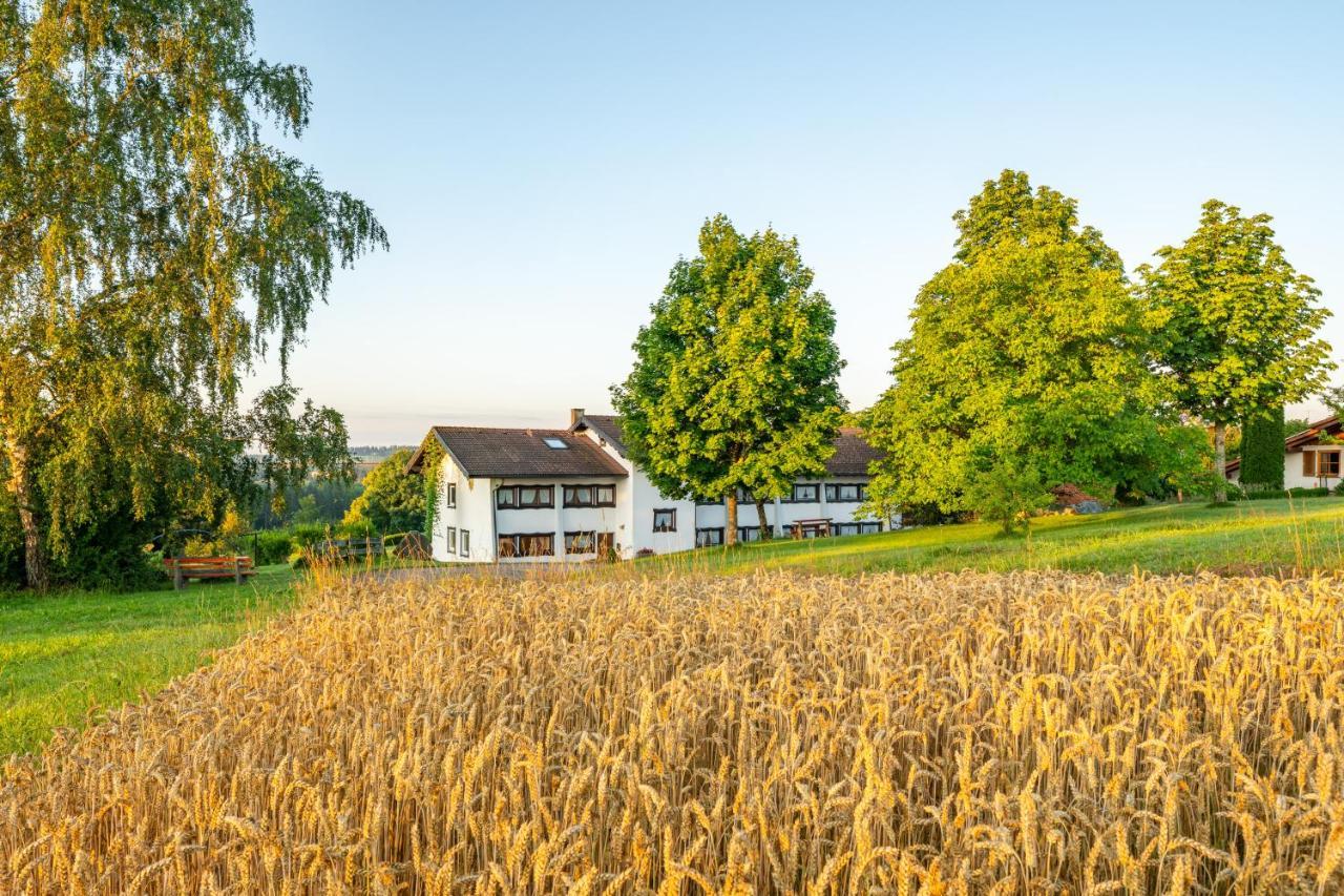 Landgasthaus Sonne Φρόιντενσταντ Εξωτερικό φωτογραφία